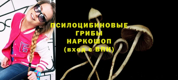 mdpv Баксан