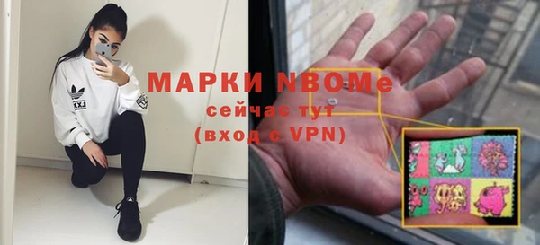 сатива Балахна
