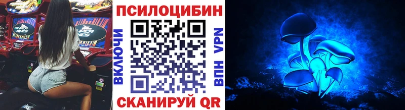 где найти   Валдай  Галлюциногенные грибы GOLDEN TEACHER 